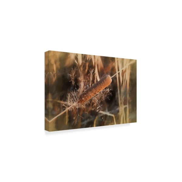 Anthony Paladino 'Brown Cattail With Soft Yellow Pastel' Canvas Art,30x47